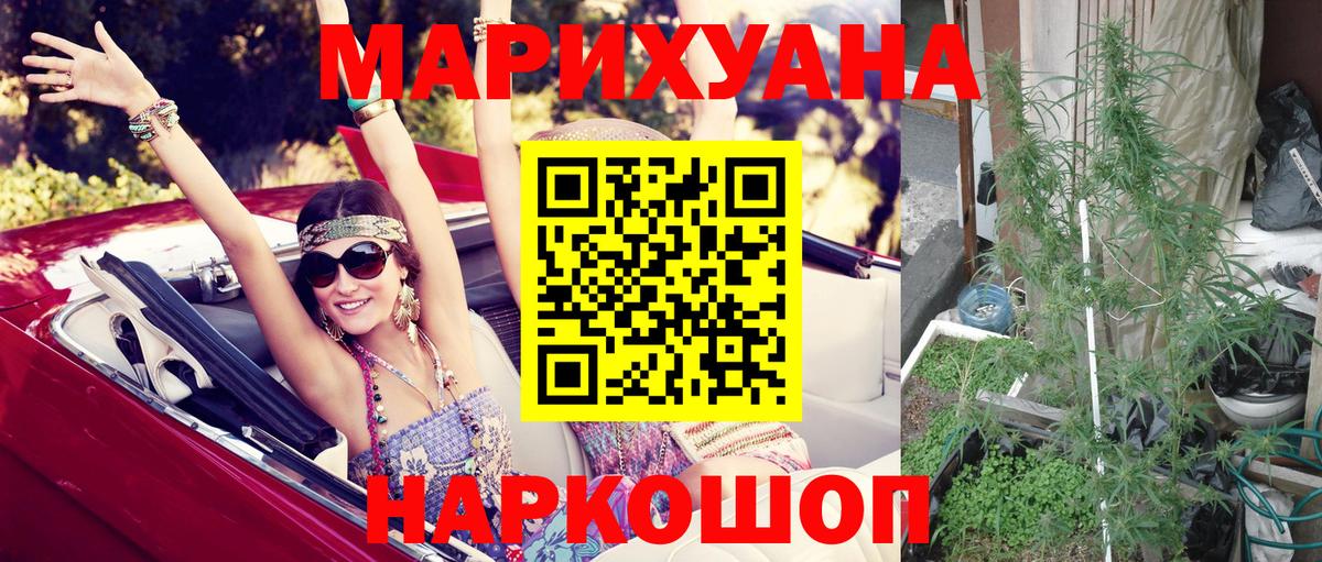 Бошки марихуана OG Kush Гусев